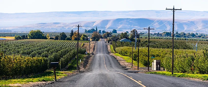Panoramic view of scenic Vineyard and apple orchards farm landscape in Yakima Valley Washington state