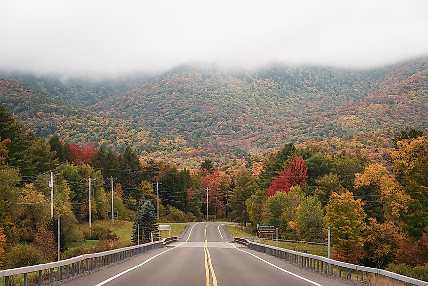 Road with autumn foliage, in the Catskill Mountains, New York.