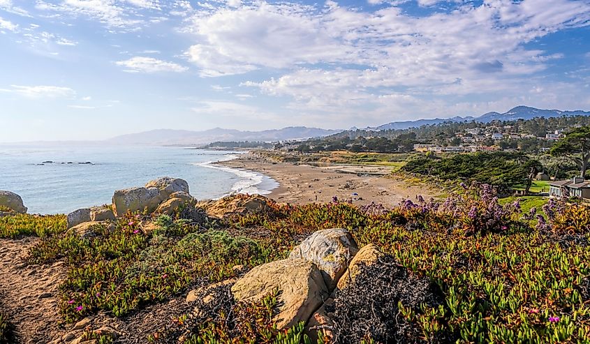 Hilltop overlooking Cambria California's Moonstone Beach.