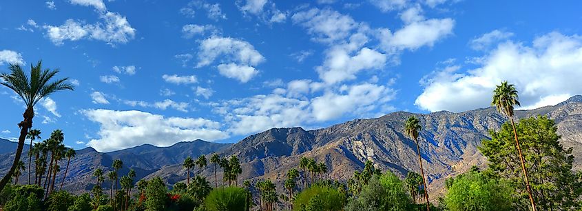 Nice panorama of Palm springs, California USA in springtime.