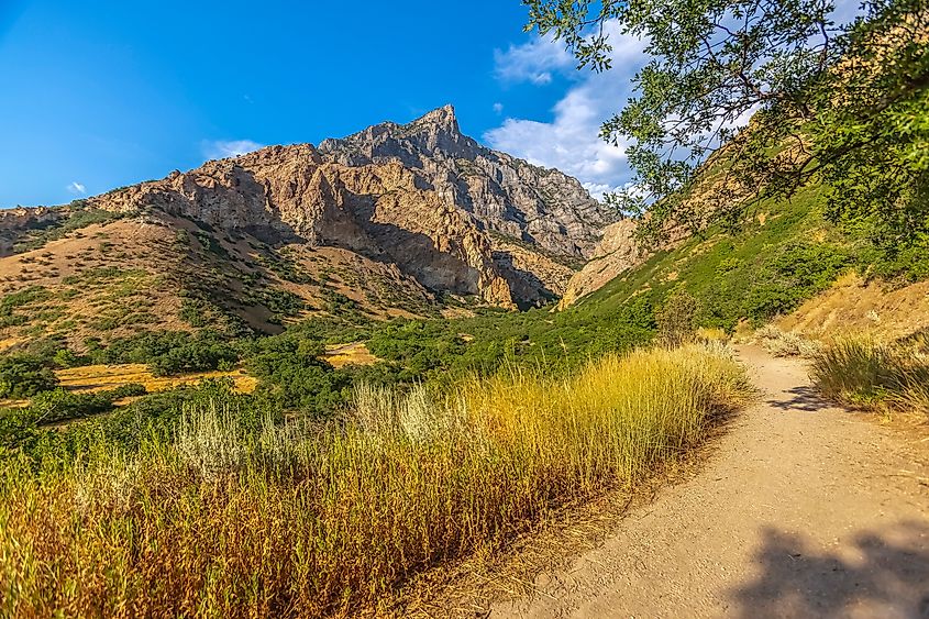 A nature trail near Provo, Utah.