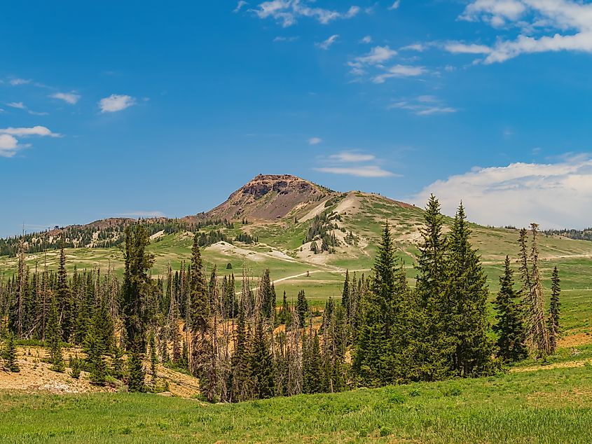 view of The Brian Head Mountain peak at Utah