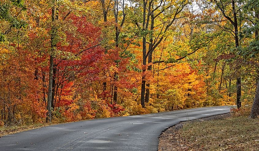 Road in autumn in DeSoto State Park, Alabama