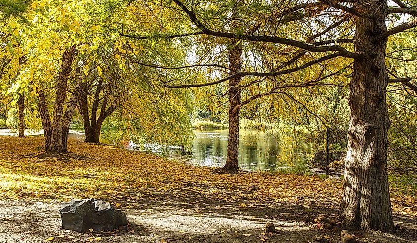 By the pond during Autumn at the Arboretum in Moscow, Idaho.