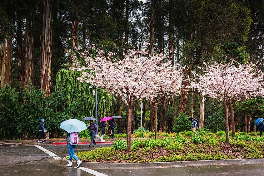 Berkeley, California