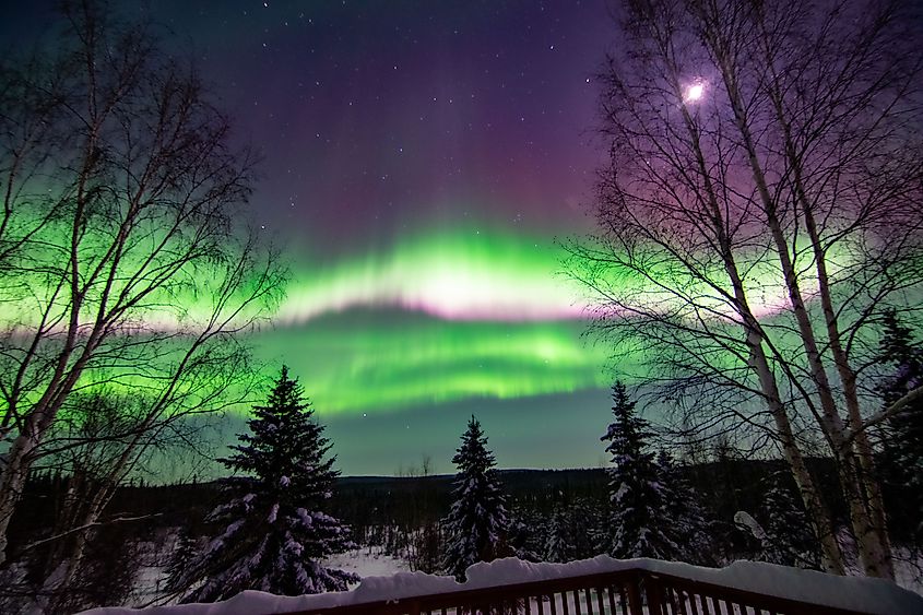 Northern Lights in the town of Fairbanks, Alaska.