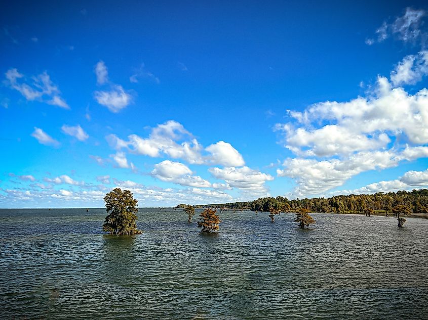 View of Lake Moultrie in South Carolina.