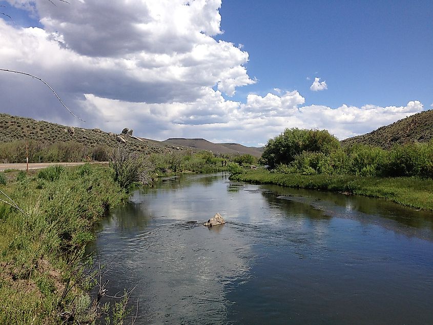 Owyhee River near Mountain City, Nevada.