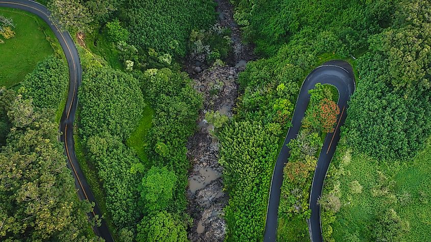 The winding Road to Hana on Maui.