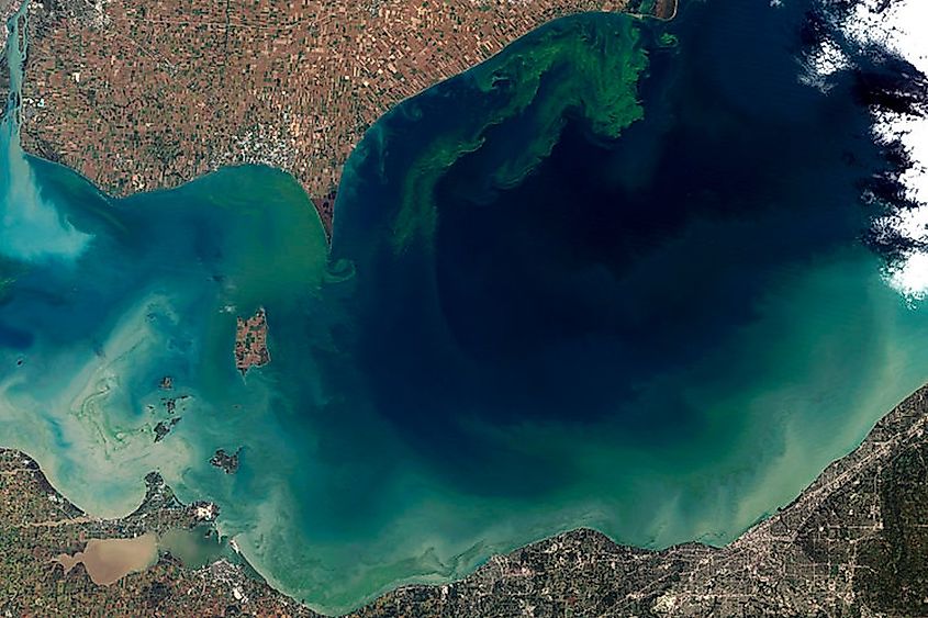 The worst algae bloom Lake Erie has experienced in decades.