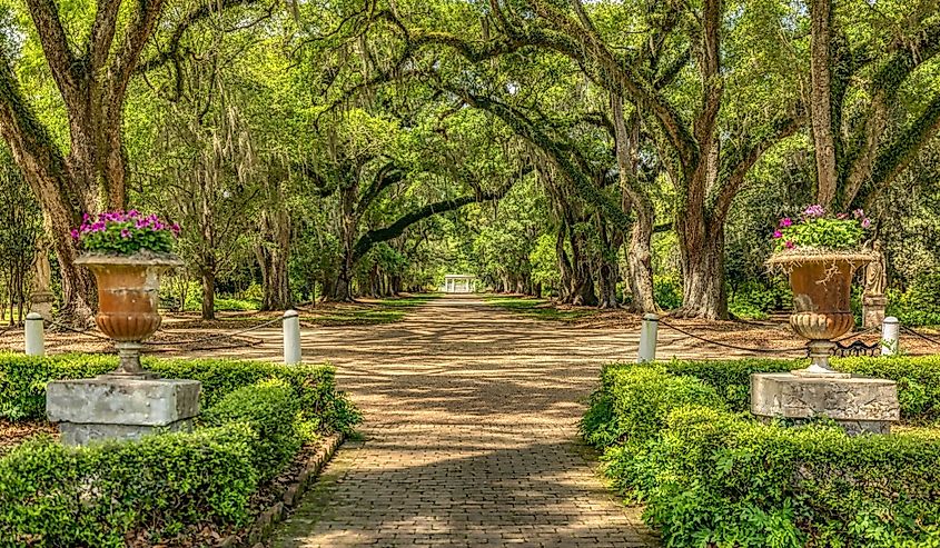 Rosedown Plantation in St Francisville, Louisiana