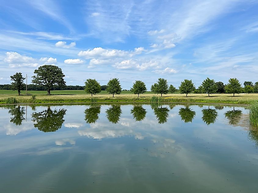 View of a pond in Poplar Grove, Illinois.