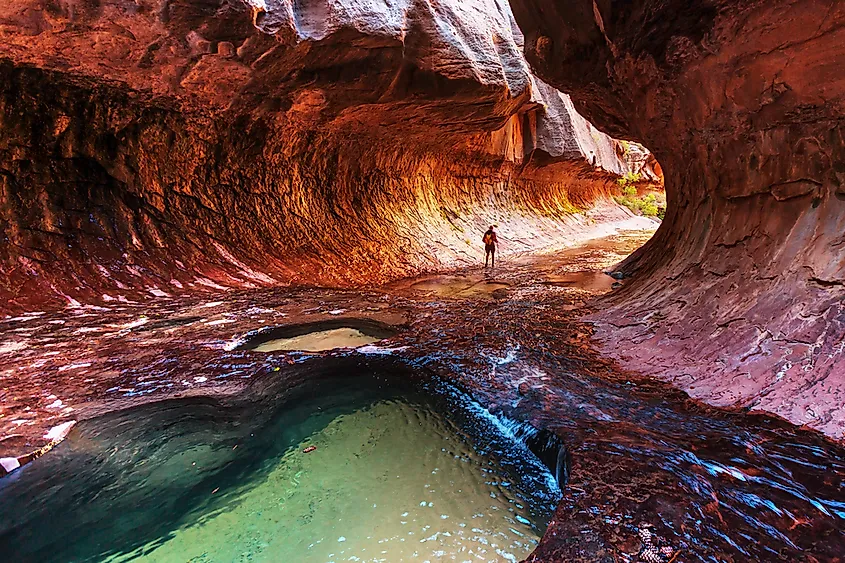Zion National Park includes a variety of natural, water-carved features, including deep, steep, narrow canyons like this one.
