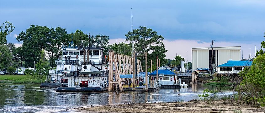 Barges docked at the Demopolis Yacht Basin along the Tombigbee River in Demopolis, Alabama.