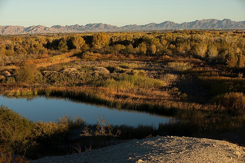 The Colorado River flowing near Fortuna Foothills, Arizona