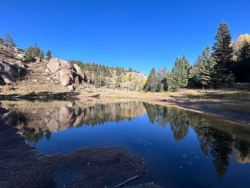 A serene reflection in a lake at Mueller State Park in Colorado