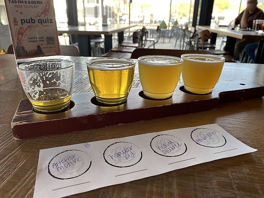 A flight of craft beer samplers from a window front table at a riverside brewery