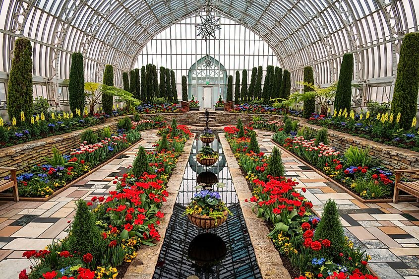 Como Park Zoo Marjorie McNeely Conservatory Spring Tulip Show. Editorial credit: TammiMild / Shutterstock.com