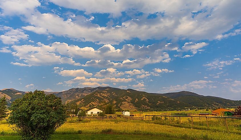 A beautiful view in autumn fields at the foot of a mountain range on the outskirts of Bozeman, Montana