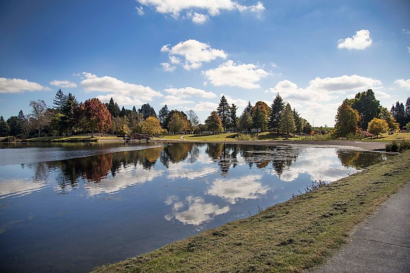 Lake Moana-nui and dam in Tokoroa, South Waikato, New Zealand.