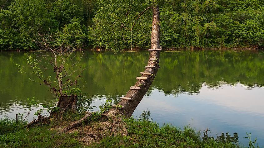 A tree swing over a river in Hardy, Arkansas.