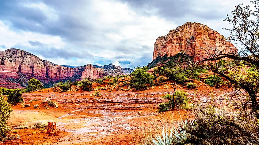 Coconino National Forest in northern Arizona.