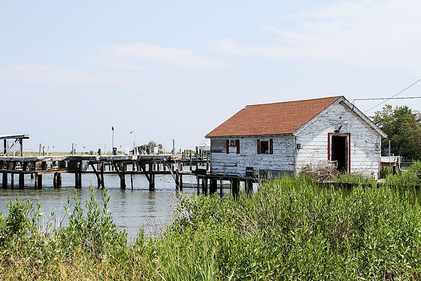 A crab shack on Deal Island, Maryland. Image credit: Chesapeake Bay Program via Flickr.com