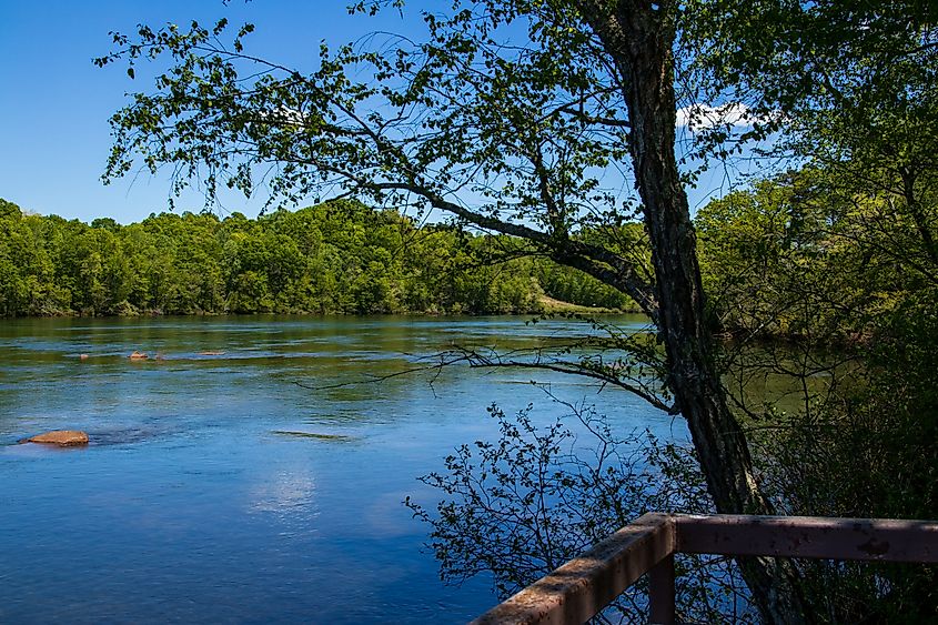Looking out over the Savannah River, Georgia.