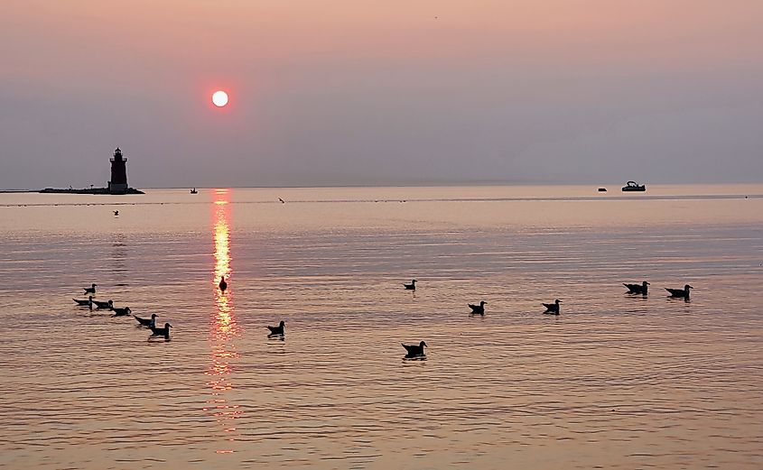 Silhouette of the lighthouse and wild birds during the sunset at Cape Henlopen State Park, Lewes, Delaware, U.S.A.