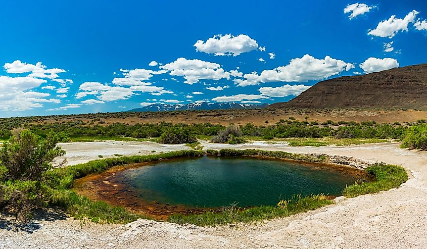 Beautiful green hot spring pool in Alvord Desert, Oregon.