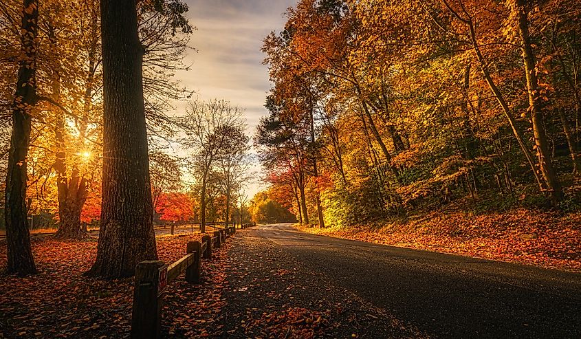 Autumn on the streets in Shelton, Connecticut.