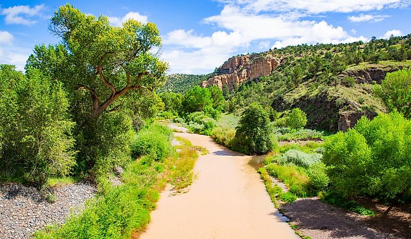Gila River in Gila National Forest, New Mexico, USA