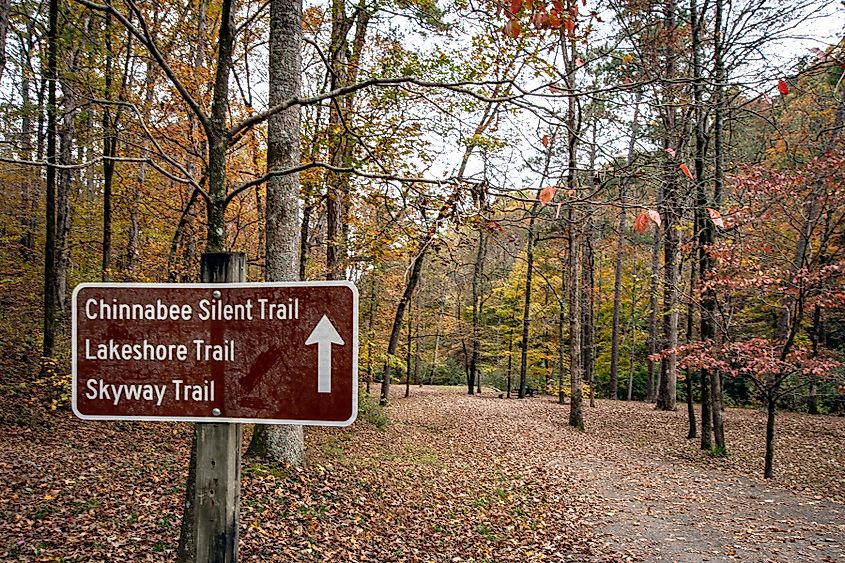 Fall colors at Talladega National Forest.