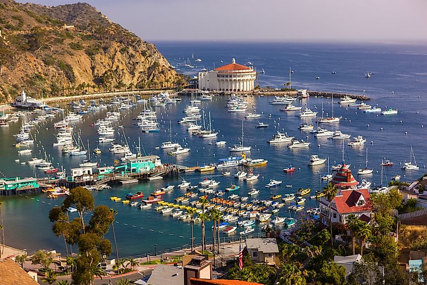 Aerial view of the harbor at Avalon, California.