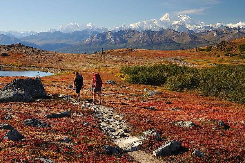 Hiking in Denali State Park (Credit: Paxson Woelber, CC BY 2.0, via Wikimedia Commons)