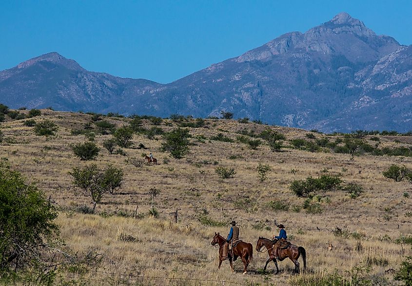 The Las Cienegas National Conservation Area in Arizona