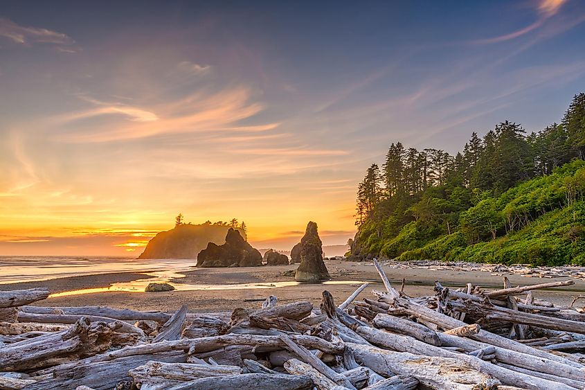 Ruby Beach in Olympic National Park.