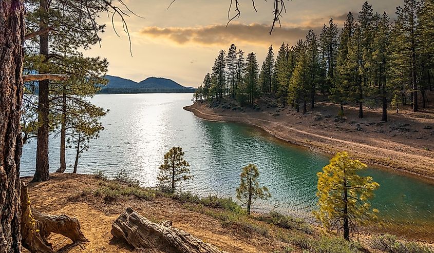 Lake Davis is located 7 miles north of Portola, California.