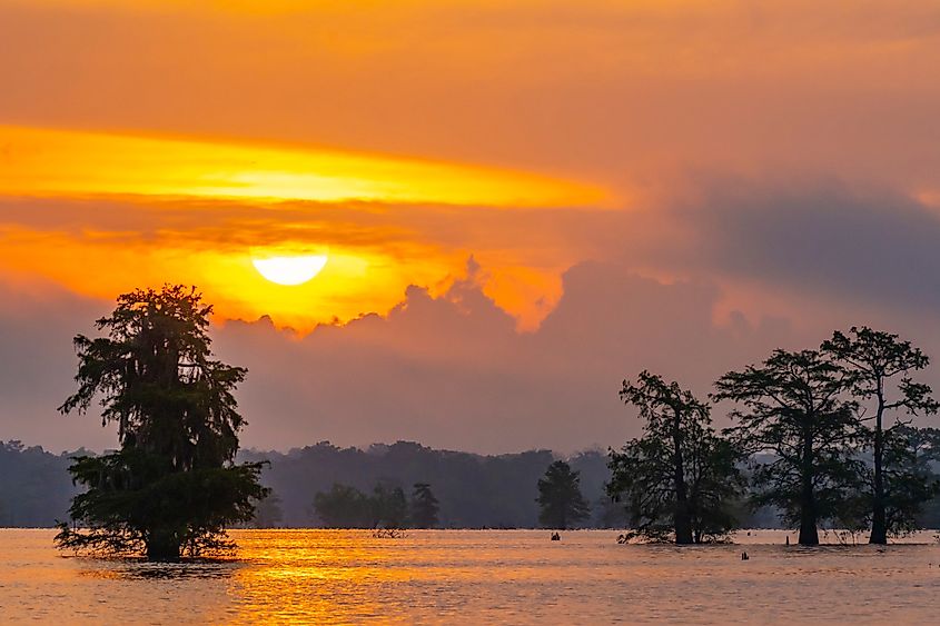 Sunrise in Louisiana's Atchafalaya Basin.
