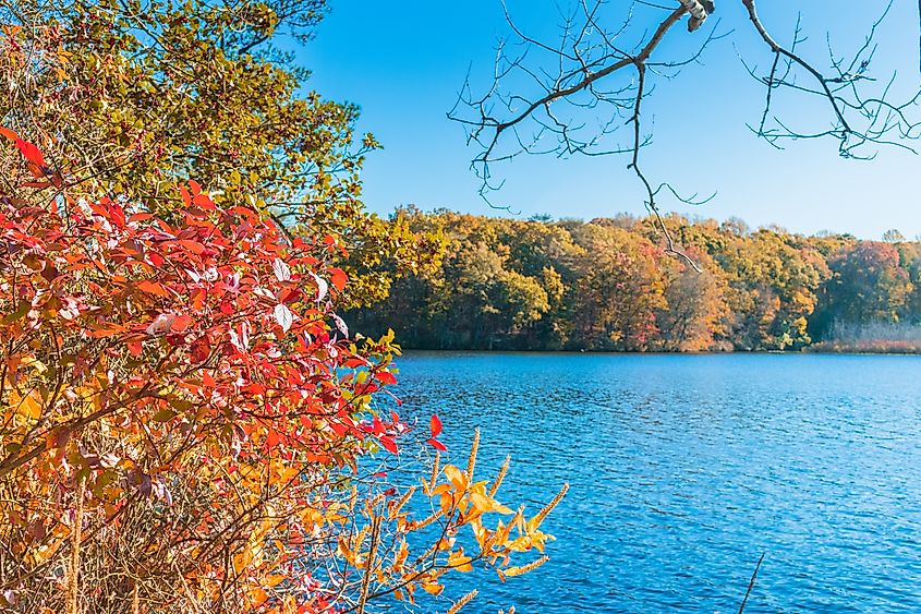 Killens Pond State Park in Delaware with scenic views.