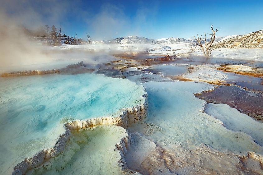 Winter scene at Mammoth Hot Springs in Yellowstone National Park, Wyoming, USA, featuring steamy terraces amid snowy surroundings.
