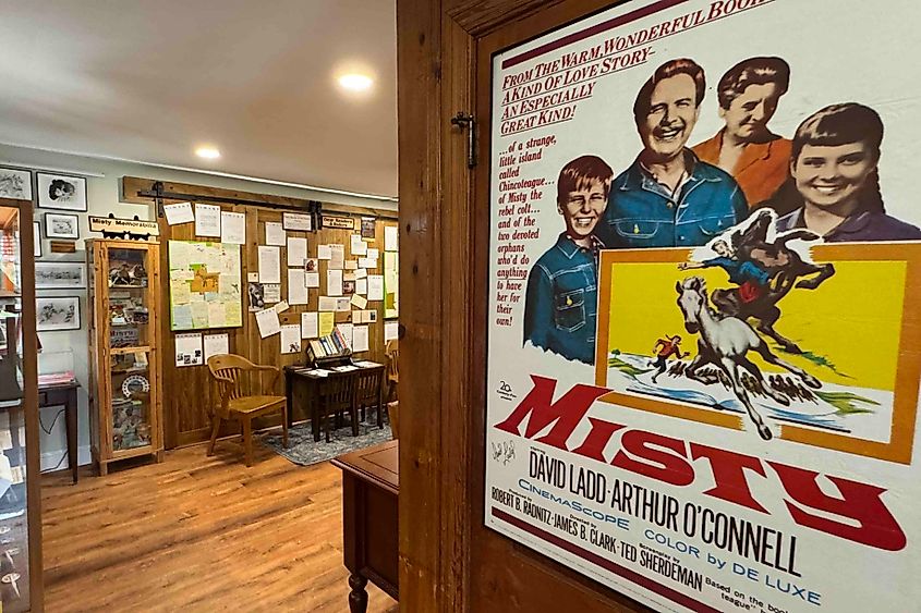 Beebe Ranch and Misty Film poster image credit Bryan Dearsley