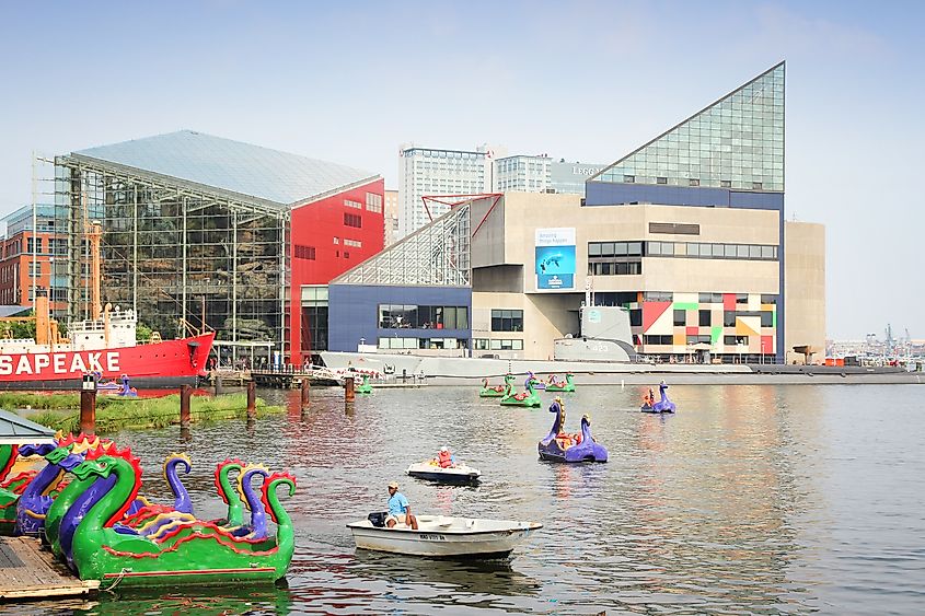 People ride dragon paddleboats with National Aquarium in background in Inner Harbor in Baltimore.