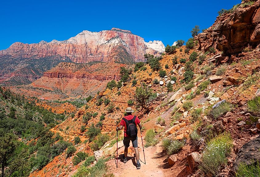 Man hiking in Zion National Park.