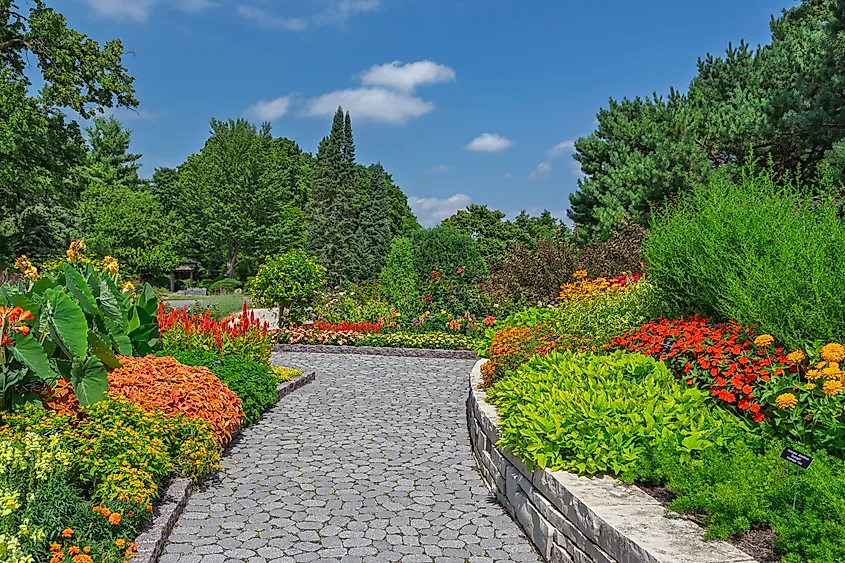 Mary L. Griggs Annual Garden at the Minnesota Landscape Arboretum in Chanhassen, Minnesota
