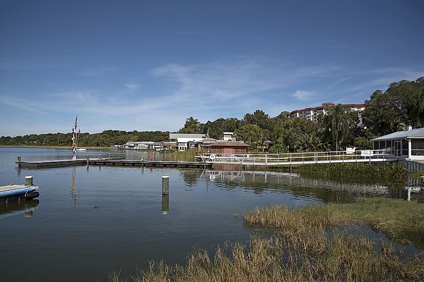 lake dora, Florida