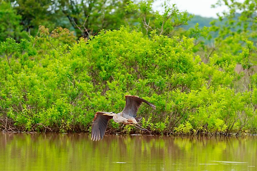  Lake Eufaula State Park