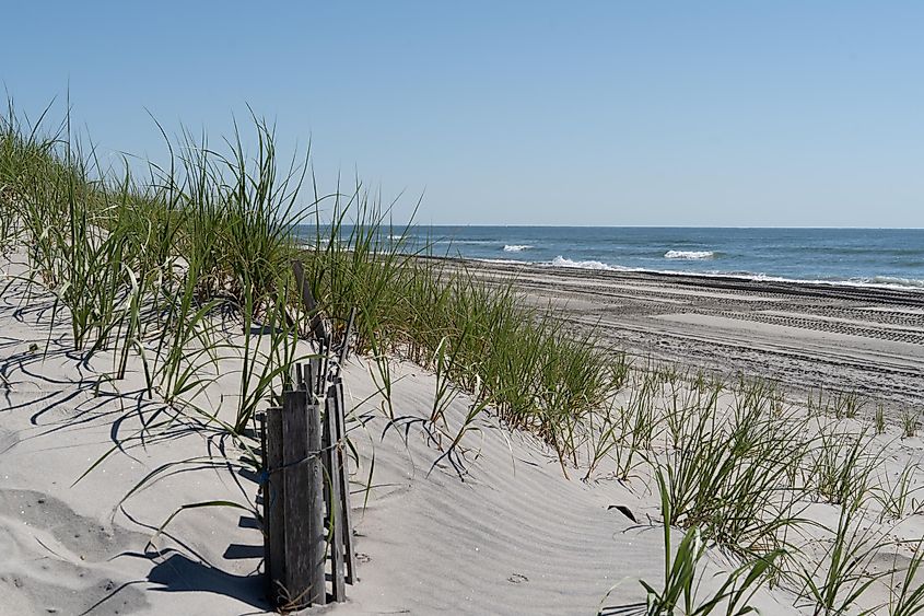 Sand dunes in Avalon, New Jersey.