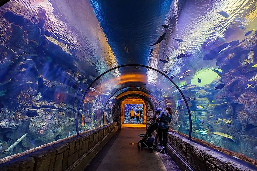 Underwater tunnel in the Shark Reef Aquarium in Las Vegas, Nevada.