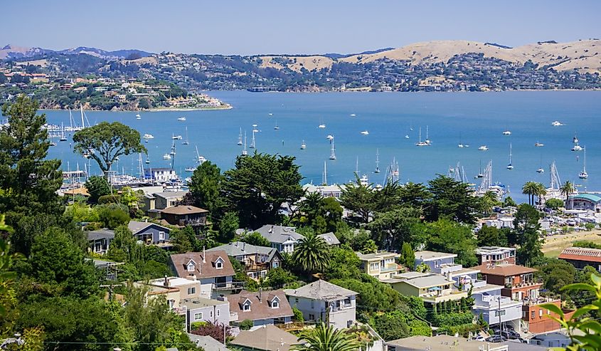 Aerial view of the bay and marina from the hills of Sausalito.